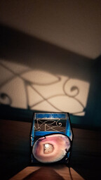 Achátový svícen Rybičky