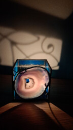 Achátový svícen Rybičky