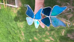 Dva motýlci pro Evu