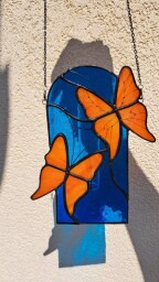 Motýlci 