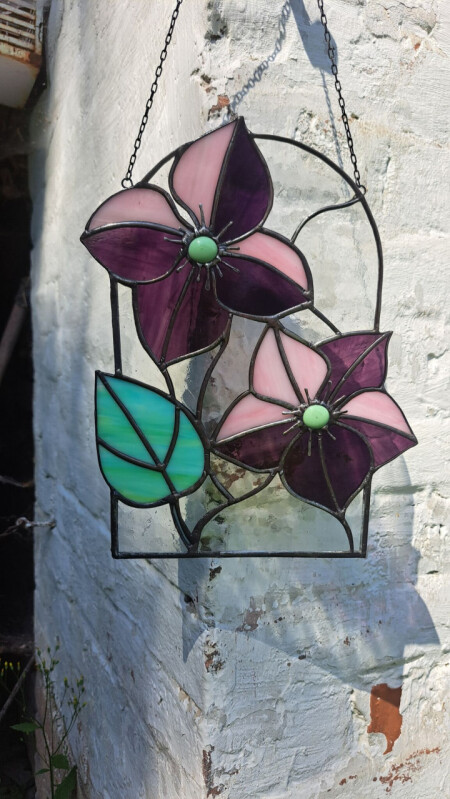 Clematis