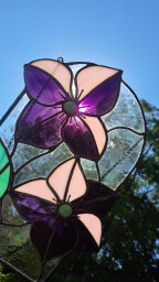 Clematis