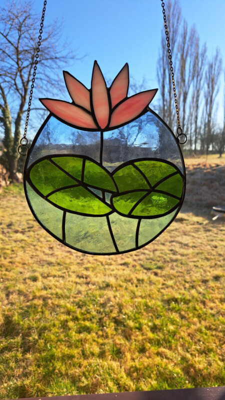 Růžový leknín
