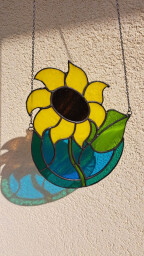 Slunečnice rezervováno