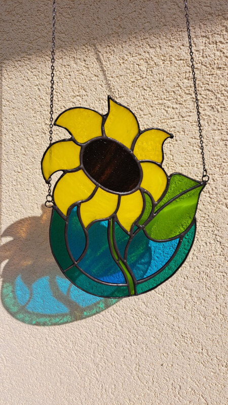 Slunečnice rezervováno