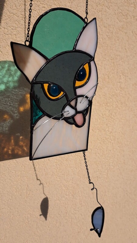 Kočka Mia