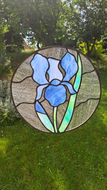 Modrý kosatec